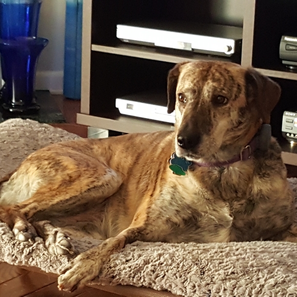 Meet your Posher, Aavalon - Picture 1 of 1